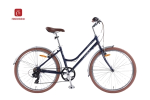Xe Đạp Chevaux Parris 6.0