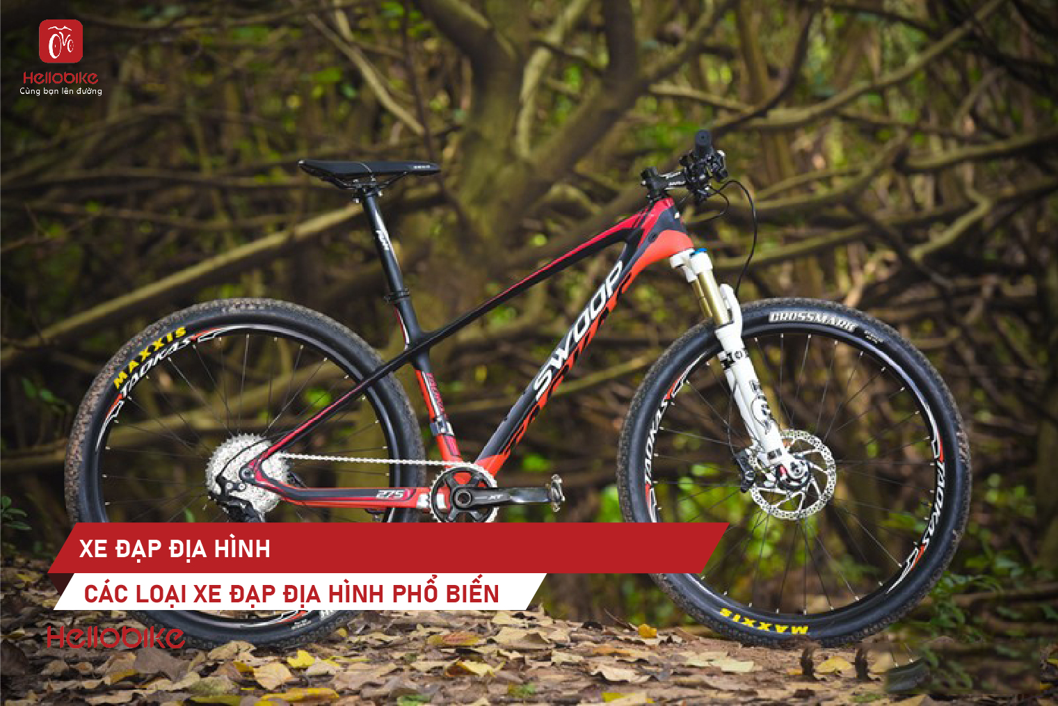 0a Xe dap the thao Hello Bike CAC LOAI XE DAP DIA HINH PHO BIEN HIEN NAY Thumbnail 1