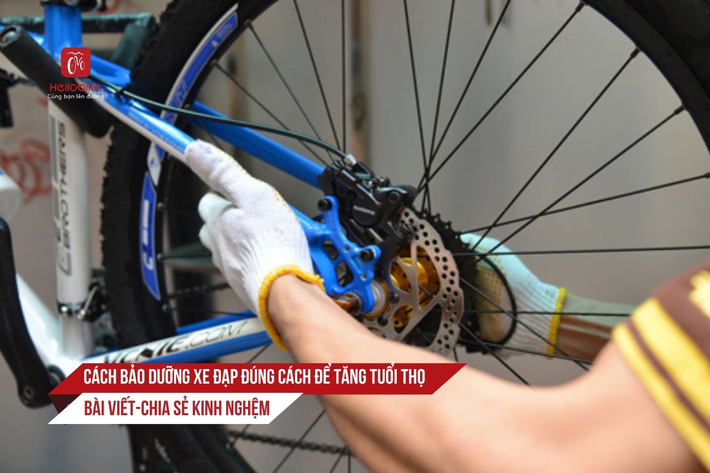 0 bao duong xe dap Cach Bao Duong Xe Dap Dung Cach De Tang Tuoi Tho 1