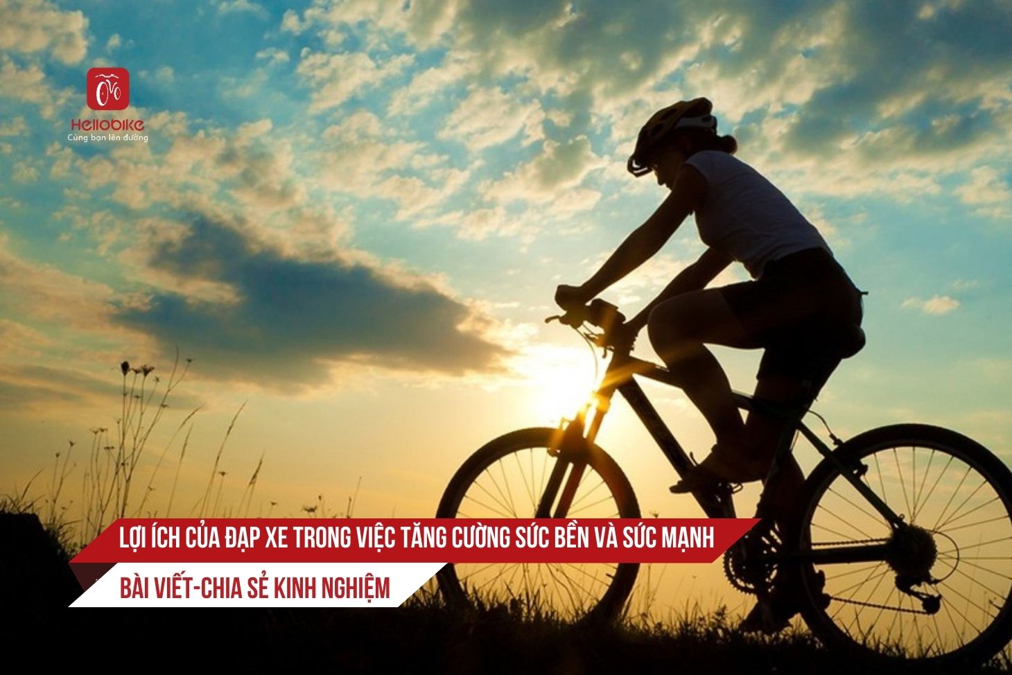 0 dap xe Loi ich cua dap xe trong viec tang cuong suc ben va suc manh 1