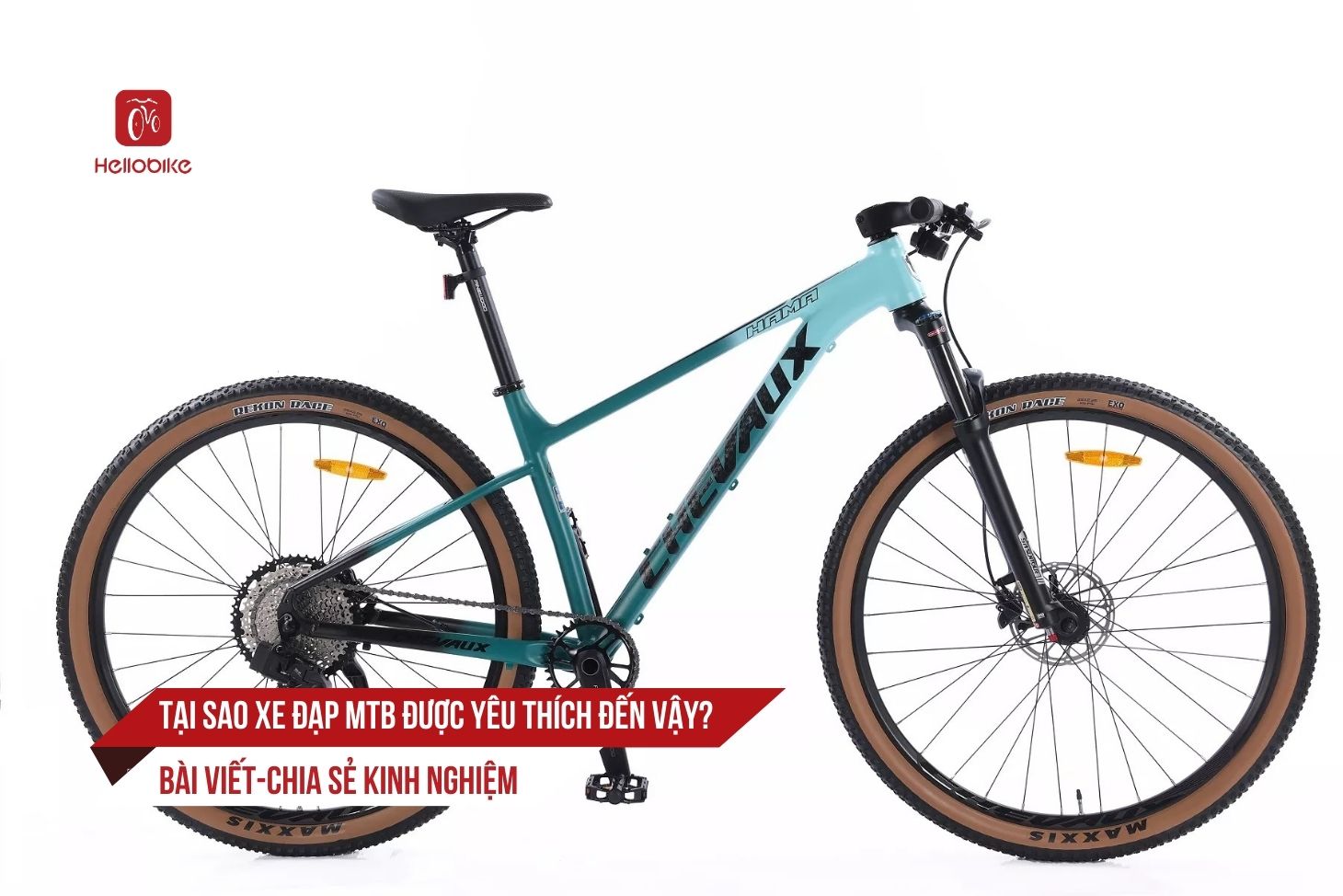 0 xe dap mtb Tai sao xe dap MTB duoc yeu thich den vay 1