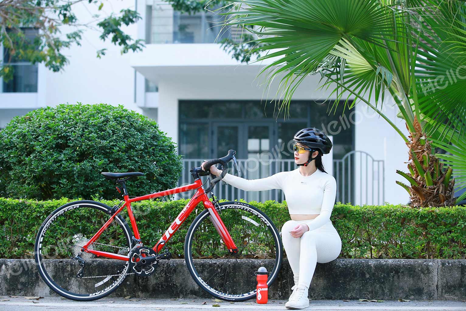 Xe đạp cho nữ đi làm