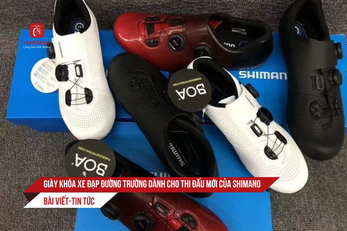0 Giay khoa Giay khoa xe dap duong truong danh cho thi dau moi cua SHIMANO 1