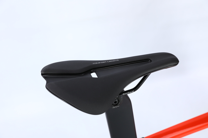 Cọc yên carbon và yên da cao cấp Selle Royal