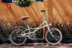 Xe đạp gấp Fortina FT2060