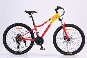 Các mẫu xe đạp nữ