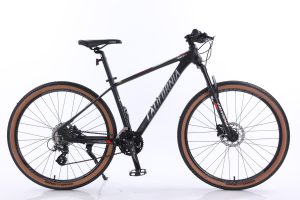 Các mẫu xe đạp MTB