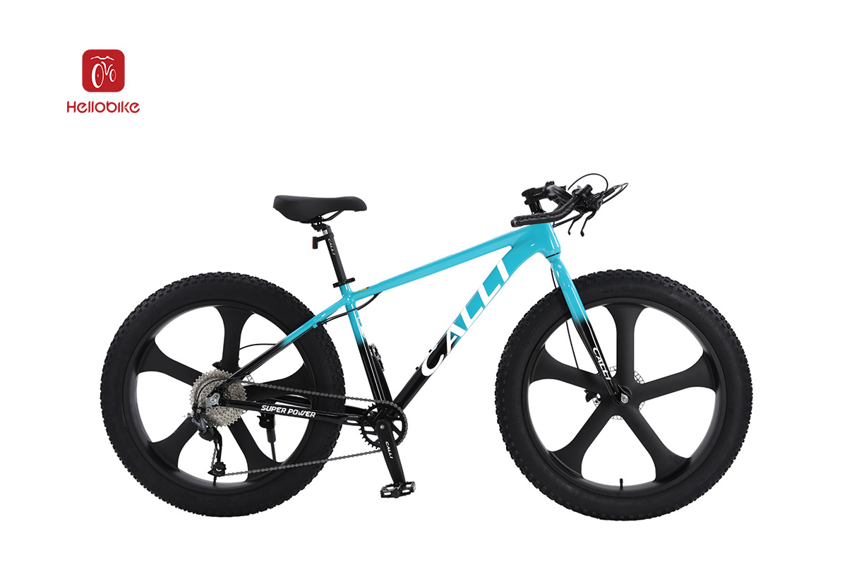 xe đạp calli 3100